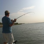 Redfish action