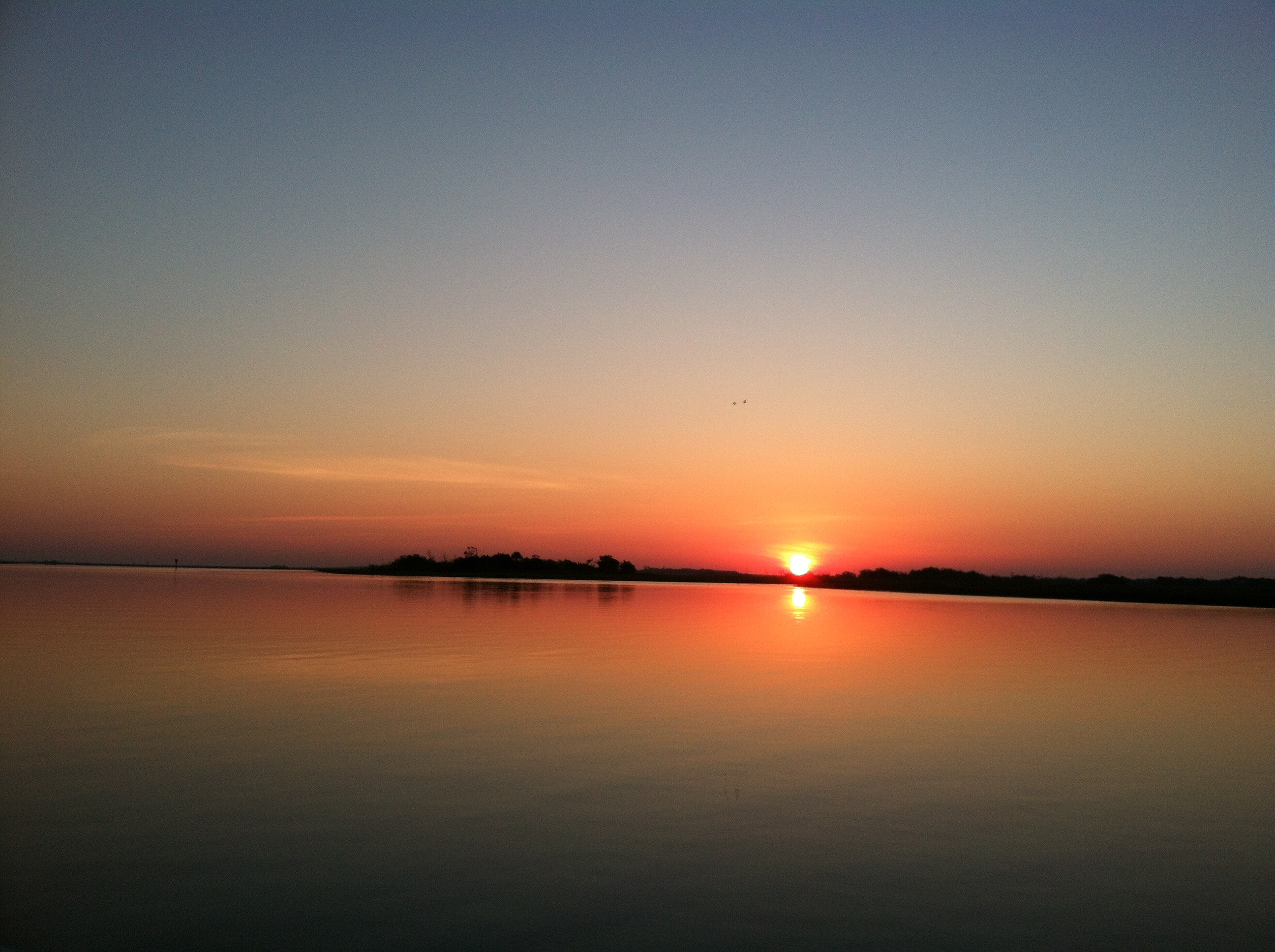 Charleston Fishing Headshaker Charters